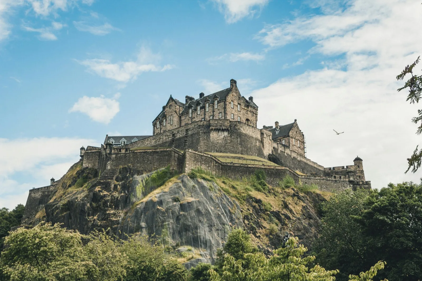 Google search results for Edinburgh local business